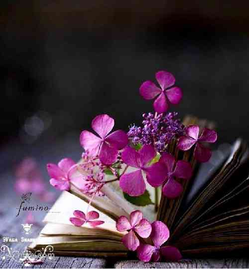 پیمان یعقوبی به کی پز میدی